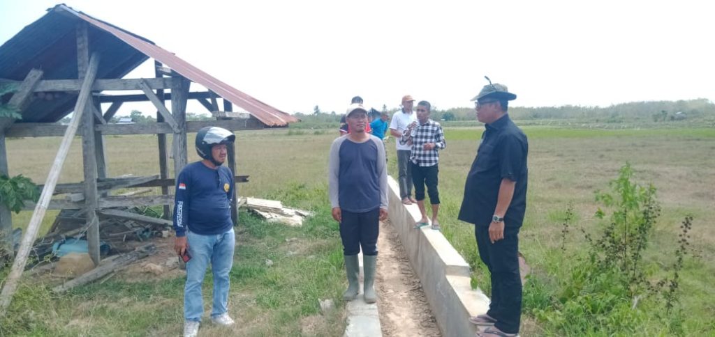 Ini Langkah Dr. Bahri Mengatasi Dampak El Nino yang Merugikan Petani