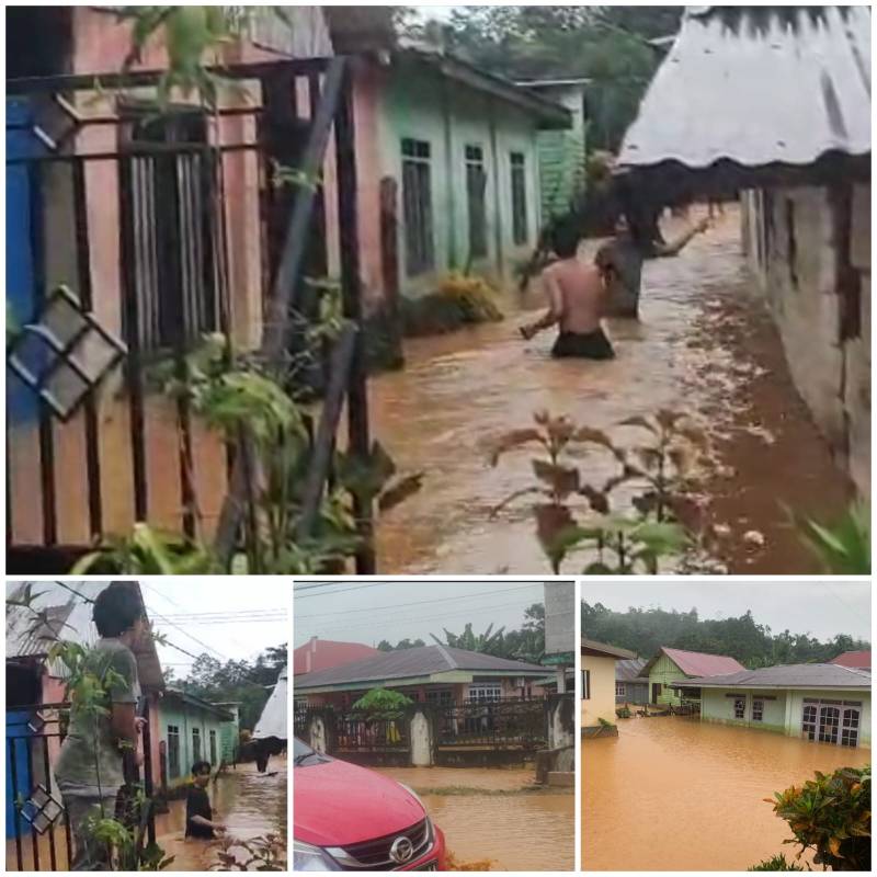 PT Harlitama Agri Makmur: Akar Banjir Lumpur di Anggalomoare?